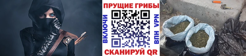 Псилоцибиновые грибы мицелий  Краснокамск 